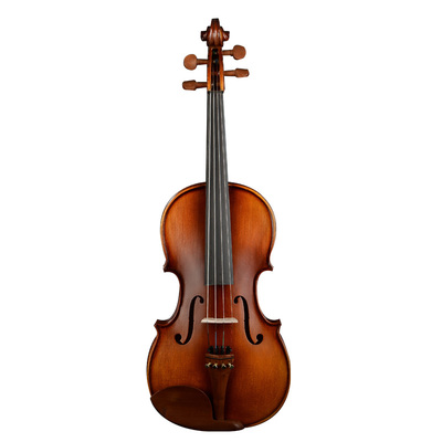 30815000200-中提琴