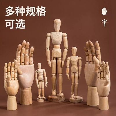 30416000101-人体结构活动模型